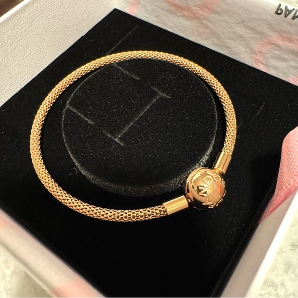 Pandora Moments Mesh Bracelet in Rose Gold - Picture 2 of 10
